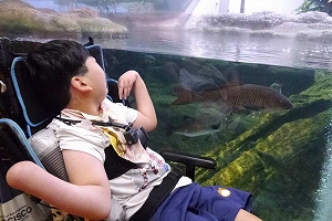 大きな魚を見ている生徒