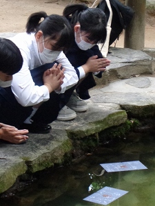 八重垣神社、鏡の池で縁占いをする生徒たち
